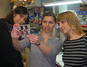Las tres investigadoras en el laboratorio (Foto: CNIO)