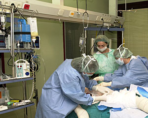 Intervencin para trasplantar tejidos a un paciente. (Foto: H.U. de Getafe)