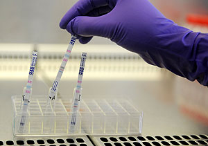 Test para detectar el virus en un laboratorio. (Foto: AFP)