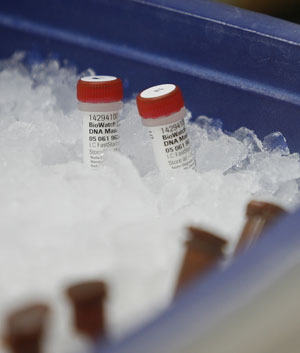 Muestras del nuevo virus en un cajón de hielo. (Foto: AP)