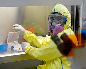 Un tcnico examina el virus en el Laboratorio de Medicina Tropical de Manila, Filipinas (Foto: AFP)
