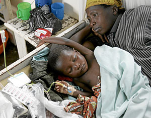 La malaria, de la A a la Z | elmundo.es salud