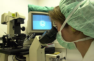 Una biloga observa un embrin en una clnica de fertilidad. (Foto: Justy)