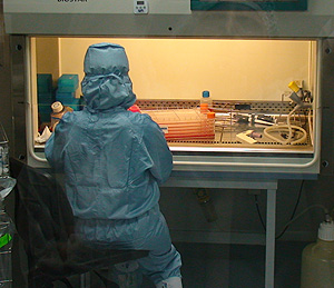 Uno de los laboratorios de Cellerix (Foto: J. Beneytez)