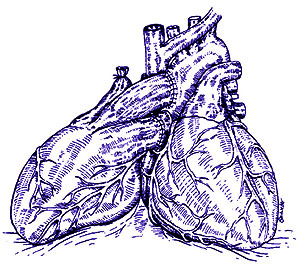 As le implantaron a la nia los dos corazones (Foto: Lancet)