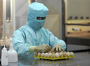 Un cientfico trabaja en el desarrollo de una vacuna contra el virus. (Foto: Chaiwat Subprasom | Reuters)