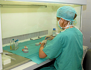 Una especialista manipula muestras en un laboratorio (Foto: El Mundo)