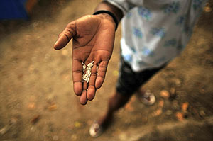 Una mujer haitiana muestra un poco de arroz. (Foto: Ulises Rodrguez | EFE)