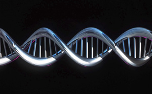 Imagen simblica de una cadena de ADN. (AP)