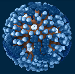 Recreacin del virus de la gripe. (Imagen: Doug Jordan | CDC)