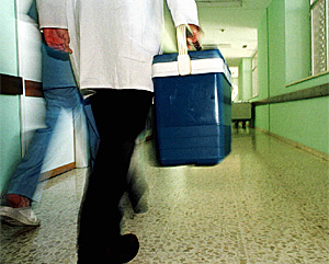 Un sanitario transporta un rgano para trasplante (Foto: Marcelo del Pozo)