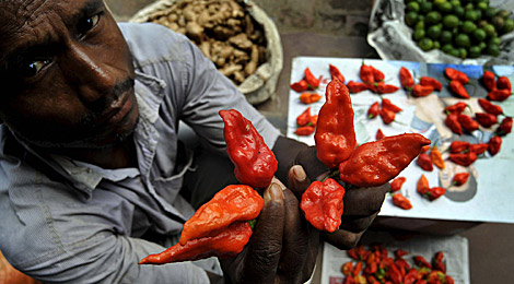 Un mercader de la India muestra pimientos picantes 'bhut jolokia' | Foto: El Mundo