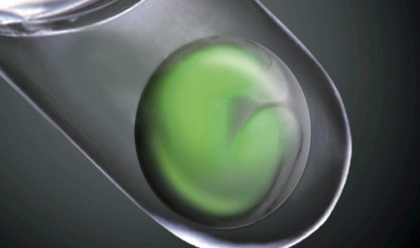 Tejido ocular desarrollado en el laboratorio a partir de clulas madre. | Foto: El Mundo