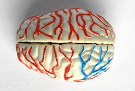 Recreación de un cerebro humano. | Foto: El Mundo