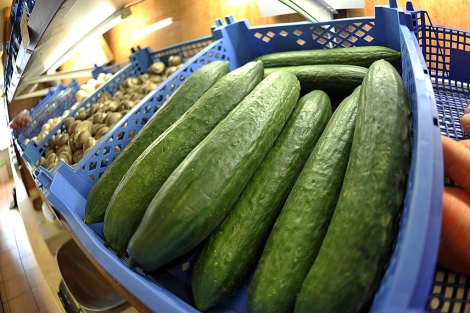 Pepinos en un supermercado de la ciudad de Hamburgo.| Reuters | Morris Mac Matzen