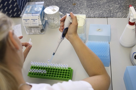 Una especialista trabaja con muestras de 'E. coli'.| AP | Petr David Josek