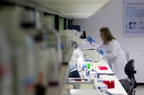 Una investigadora trabaja en un centro de bioinformtica en Sevilla. | Foto: EFE