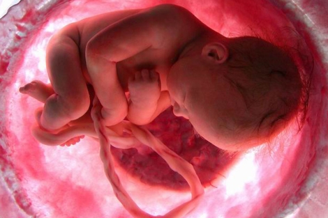 Imagen del documental 'En el vientre materno'. | El Mundo