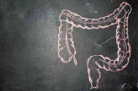 Ilustracin de un intestino. | El Mundo