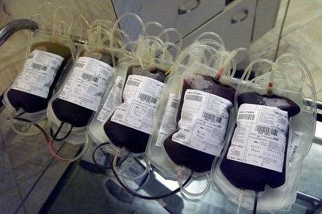 Varias bolsas de sangre en un centro de donacin. | Ap