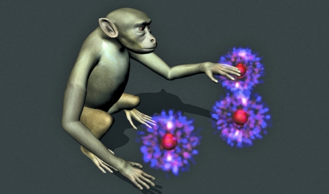 Ilustracin que representa a un mono percibiendo virtualmente. | Katie Zhuang | Nature