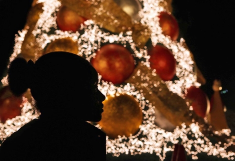 Una nia observa un rbol de Navidad en Santo Domingo. | Efe