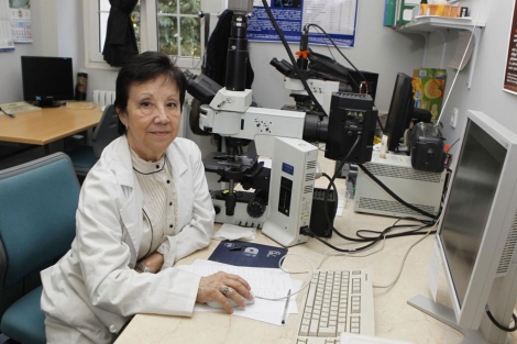 Mara Luisa Martnez-Fras, directora del CIAC, en el laboratorio. | Sergio Gonzlez