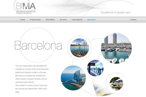 Imagen de la pgina web del proyecto BIMA.