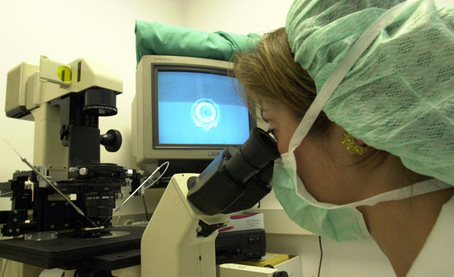 Una bióloga observa un embrión a través del microscopio. | El Mundo