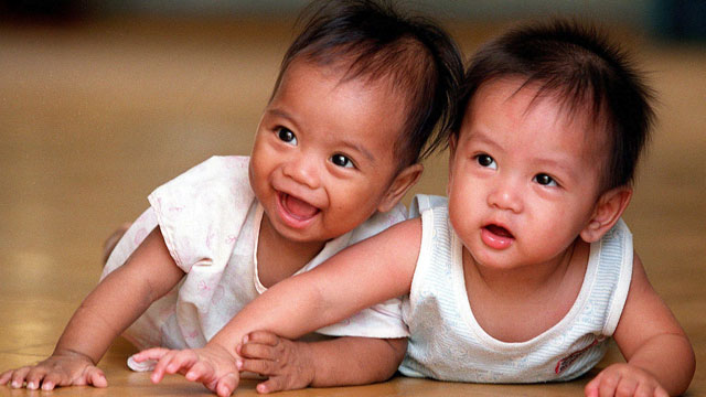 El número de partos gemelares ha aumentado en las últimas décadas en España. | Efe
