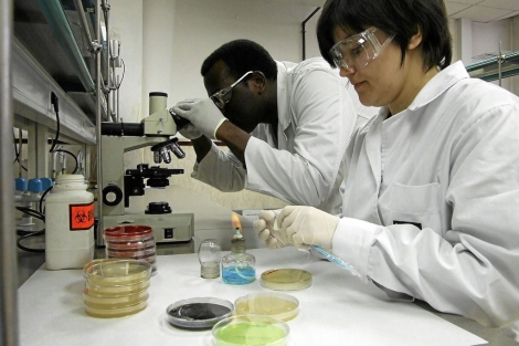 Investigadores en un laboratorio. | El Mundo