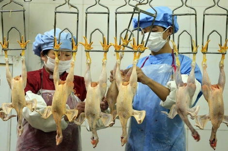 Aumentan a 14 los muertos en China por el virus H7N9