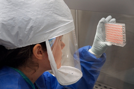 Un científico de los CDC de EEUU trabaja con muestras del H7N9.| CDC