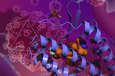 El fármaco maraviroc uniéndose con el recepetor CCR5 y evita la entrada del VIH. | Wu lab, SIMM