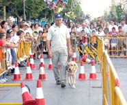 Imagen de uno de los adiestradores de perros-gua durante la exhibicin