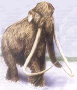 Inventarse un mamut