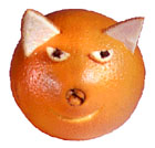 La gata naranja