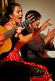 Uno de los espectáculos flamencos que se pueden disfrutar en el Corral de la Morería. (Foto: Antonio M. Xounoba)