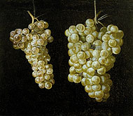 Bodegn con dos racimos de uvas, de Juan Fernndez 'el Labrador' .