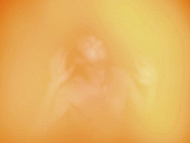 Una de las imgenes de la exposicin. (Foto: 'www.icr.ro')