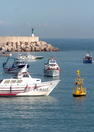 Una lancha de la Guardia Civil pasa entre los barcos de la Cofrada de Pescadores de Valencia que bloquean la bocana de entrada al puerto. (Foto: EFE)