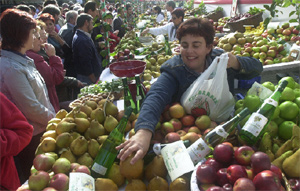 Feria de fruta y hortalizas en Gernika. (Mitxi)