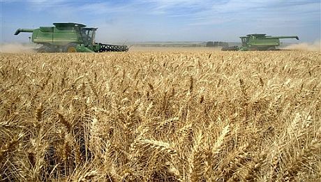 El precio del trigo se ha disparado despus de que Rusia prohibiera las exportaciones. | AP