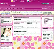 Captura del programa 'MSN Space'
