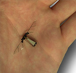 Imagen de la 'mosca-robot'. (Foto: Robert Wood/Technology Review)