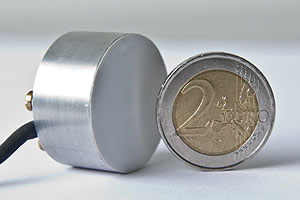 LOs sensores tienen el tamao de una moneda de dos euros.