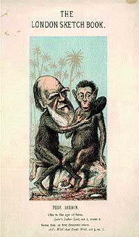 Le caricaturizaron pintndole como un primate. El arzobispo de Dubln dijo que su teora rechazaba a Dios y Adn era un mono
