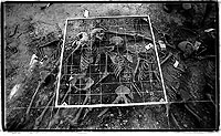 ALINEADOS AL SOL. Fosa comn desenterrada en Villamayor de los Montes (Burgos). Entre los restos alineados podran encontrarse los del padre de Fernando Snchez Drag. / FRANCESC TORRES