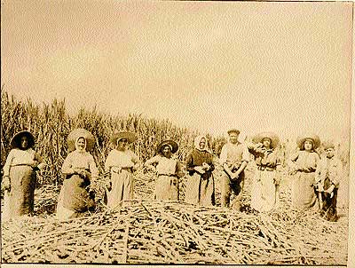 Las recolectoras o “monderas” hacen un descanso en la recogida de la caña de azúcar en Salobreña, Granada (1920).