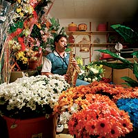 Saxo alto: Alejandro Olivares, florista.